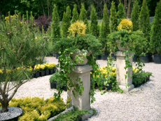Zierpflanzen Nadelbäume Laubbäume Gartensträucher