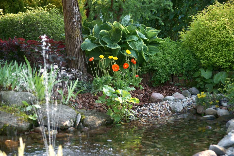 Zierpflanzen Nadelbäume Laubbäume Gartensträucher