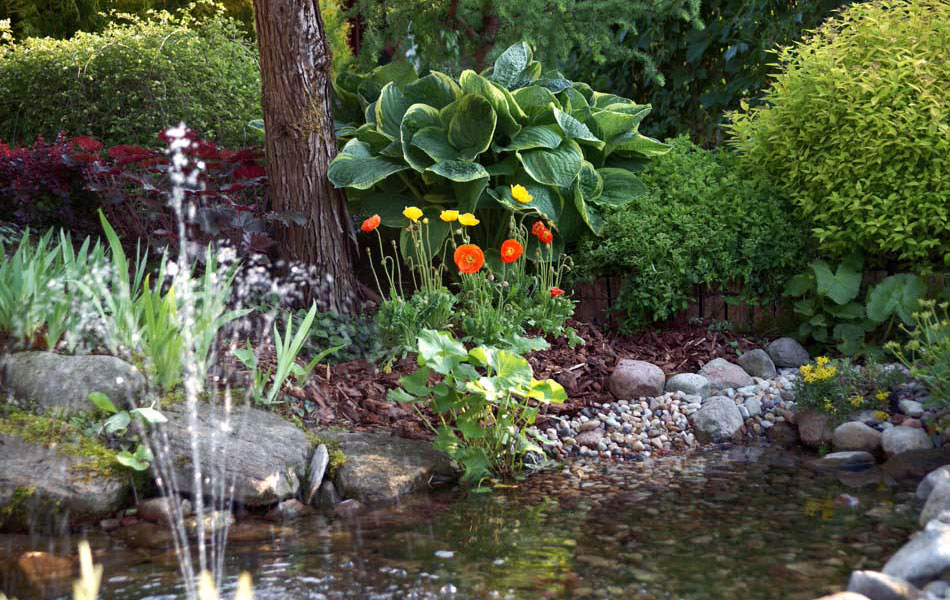 Zierpflanzen Nadelbäume Laubbäume Gartensträucher